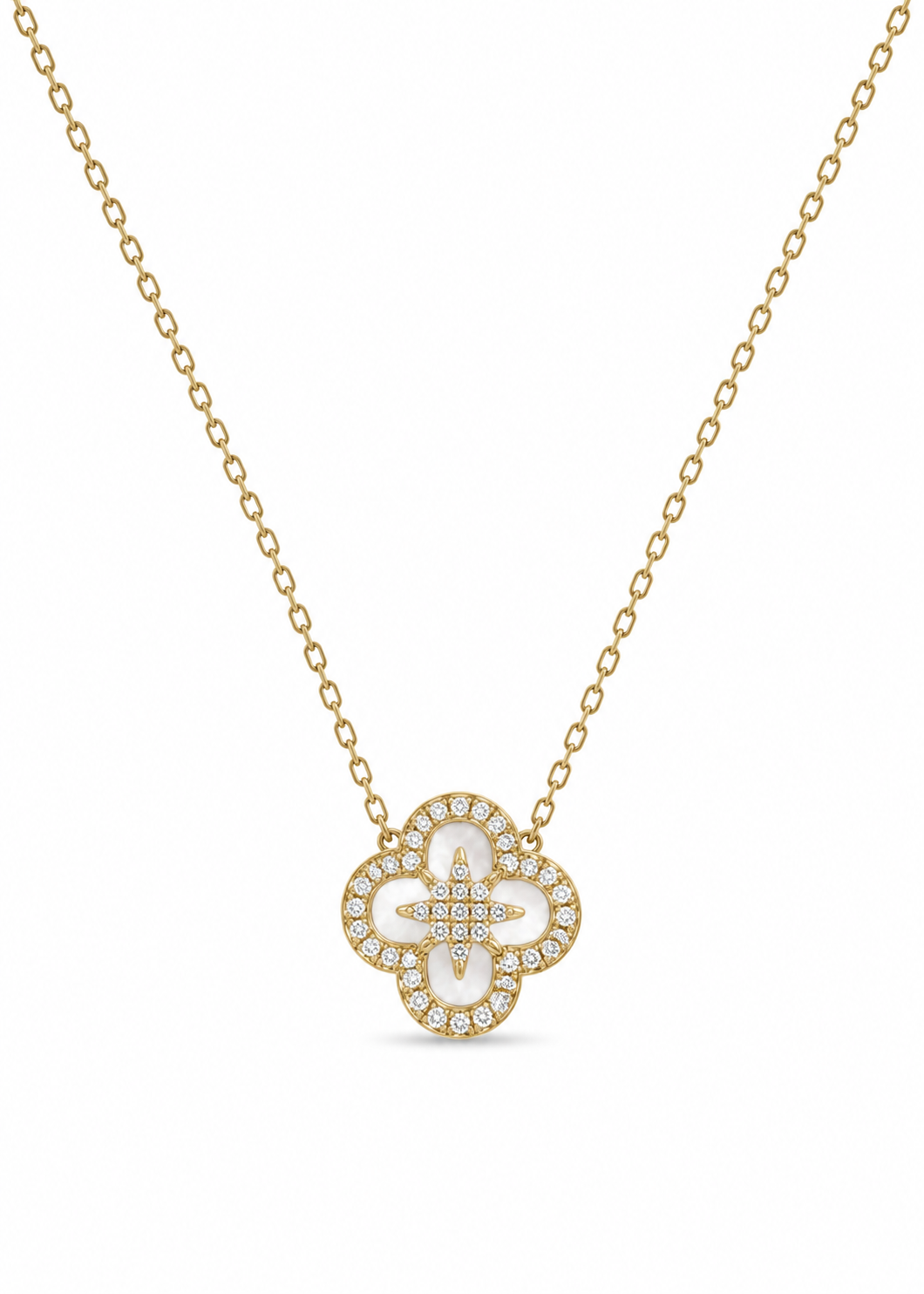 COLLIER OMAN
